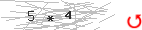 Captcha-2