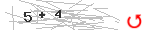Captcha-2