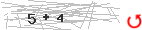 Captcha-2
